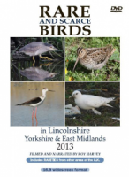 Rare and Scarce Birds in Lincolnshire, Yorkshire & East Midlands 2013 DVD