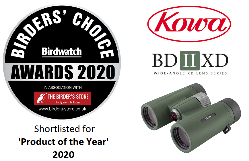 Kowa Ii Xd 8x32 Binoculars The Birders Store