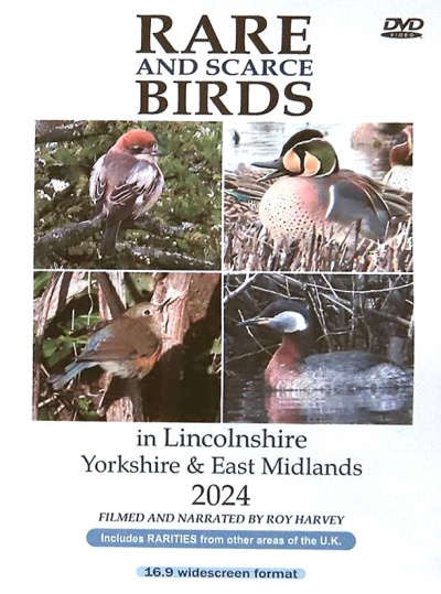 Rare and Scarce Birds in Lincolnshire, Yorkshire & East Midlands 2024 DVD