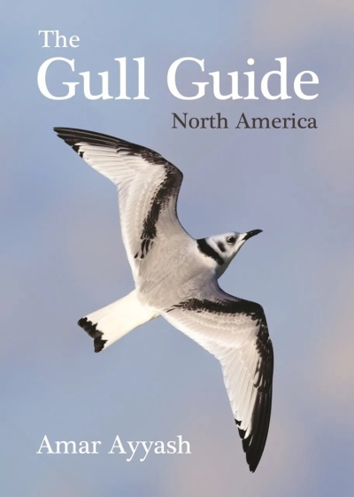 The Gull Guide: North America